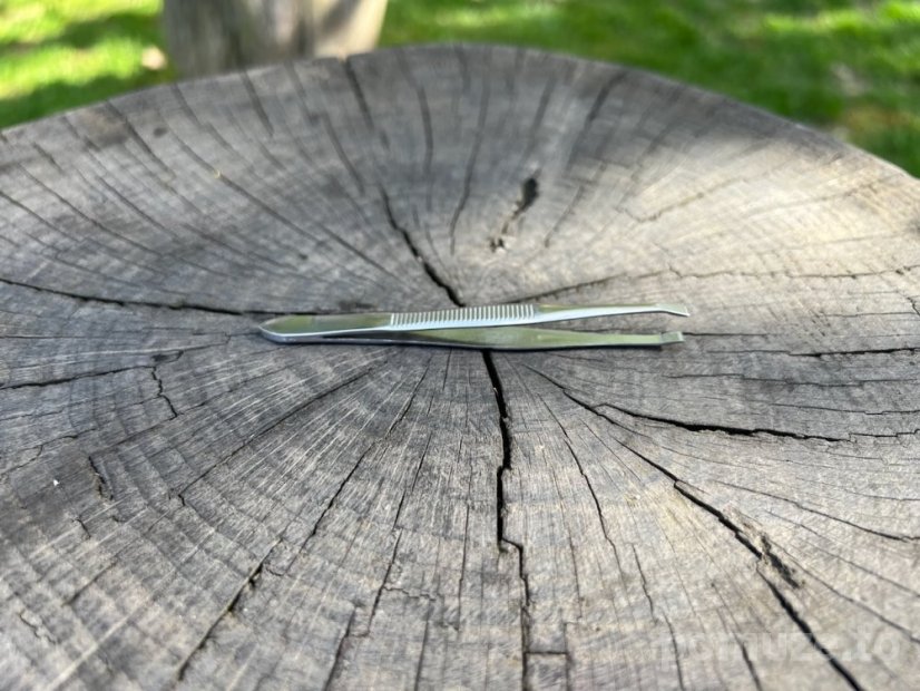 Pinzeta