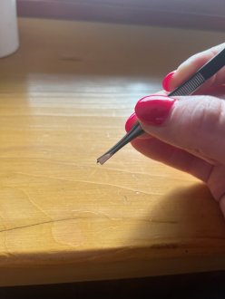 Pinzeta